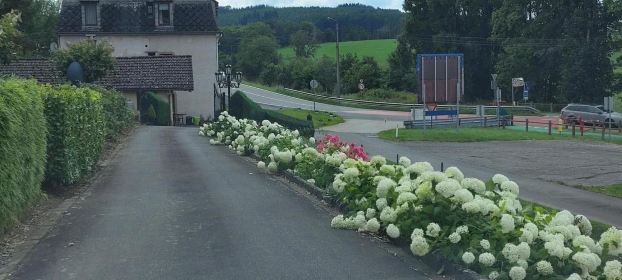 Chalet Rose Villa Burg Reuland Esterno foto